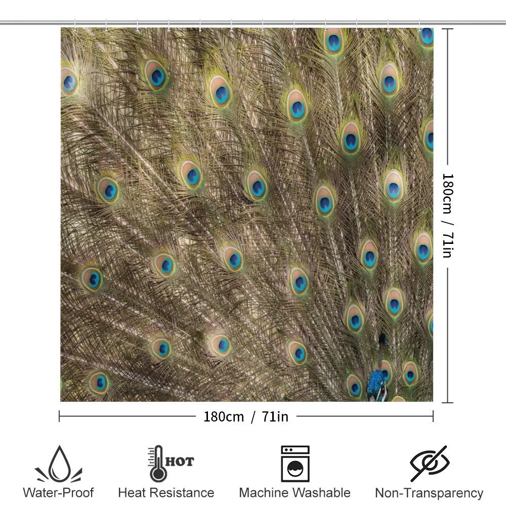 Close up Layout of a Tail — Detail 2