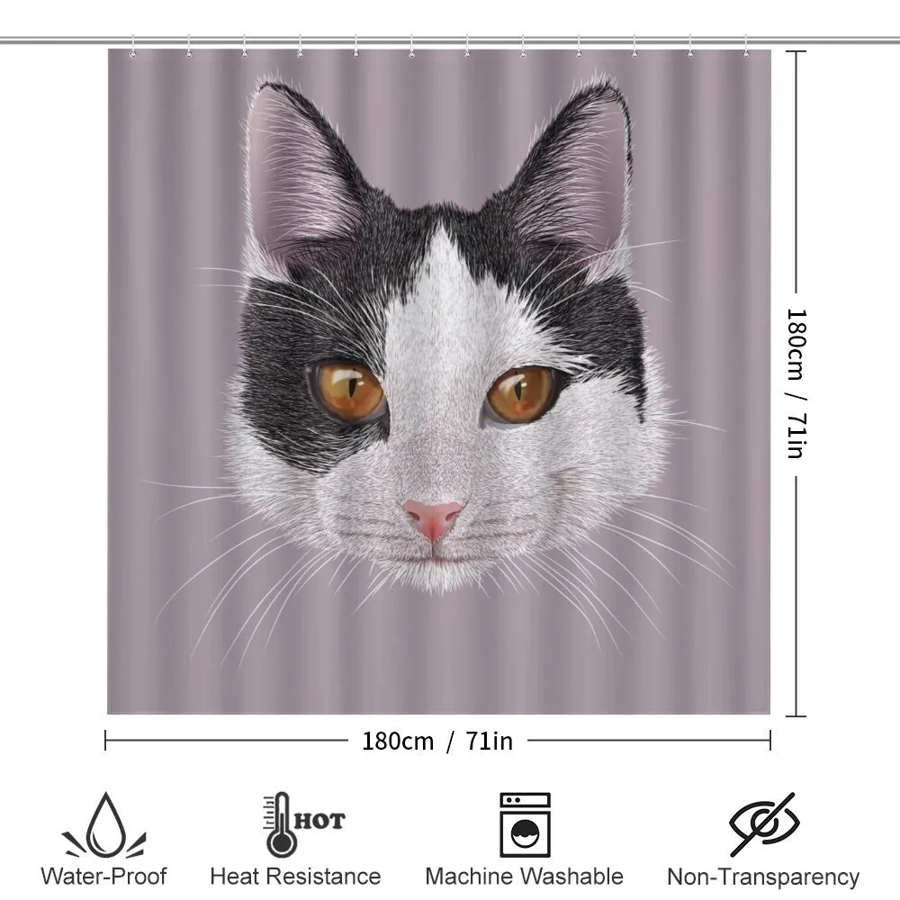 Pet Cat Kitty Portrait — Detail 2