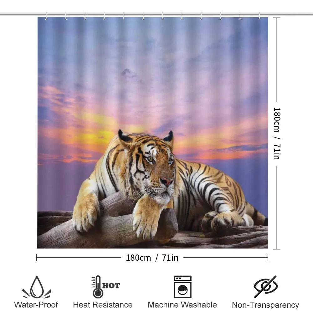 Tiger Colorful Sunset — Detail 2