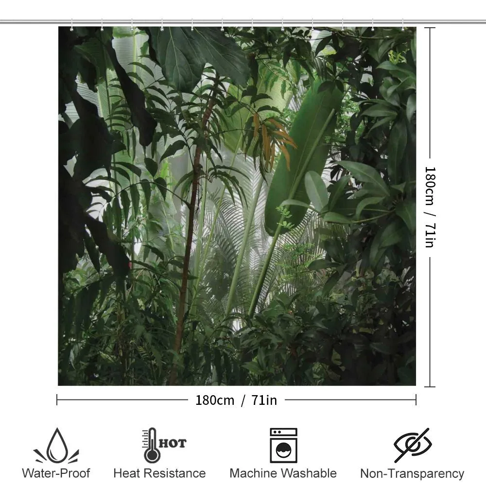 Tropical Rainforest Wild — Detail 2