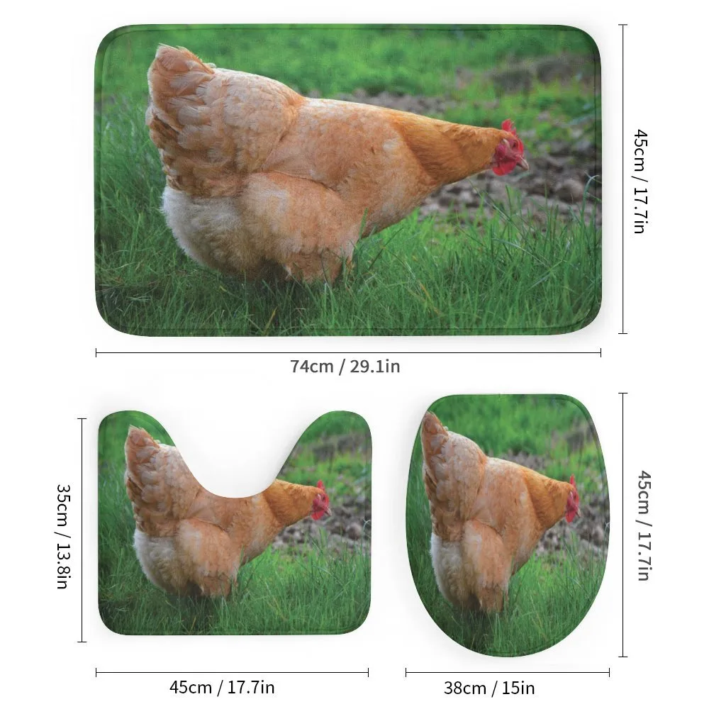 Chicken on Grass Farm Photo — Detail 1