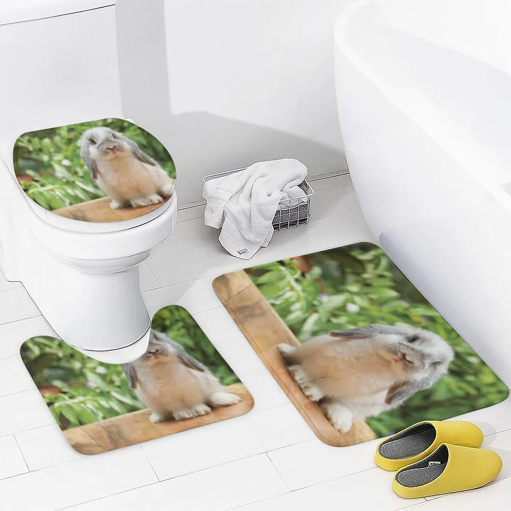 Photo of Holland Lop Rabbit — Detail 3