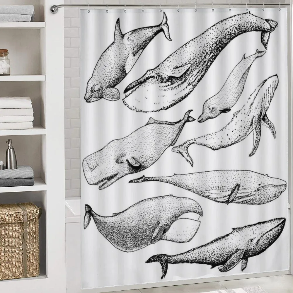 Hand Drawn Single Whale — Detail 4