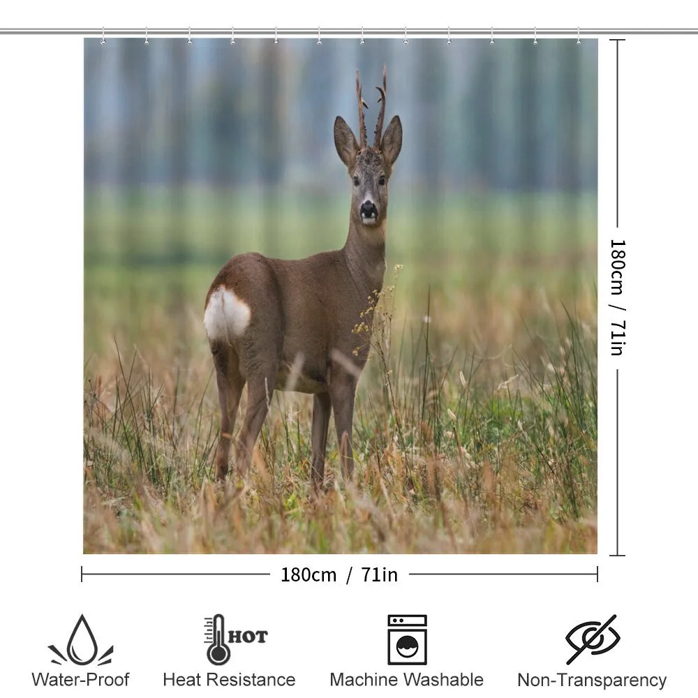 Deer Wildlife — Detail 2