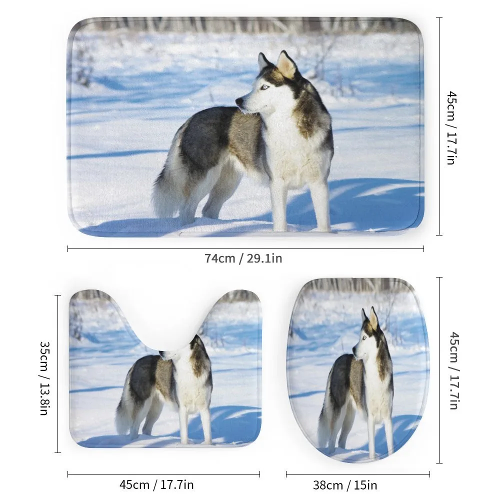 Husky on Snow — Detail 1