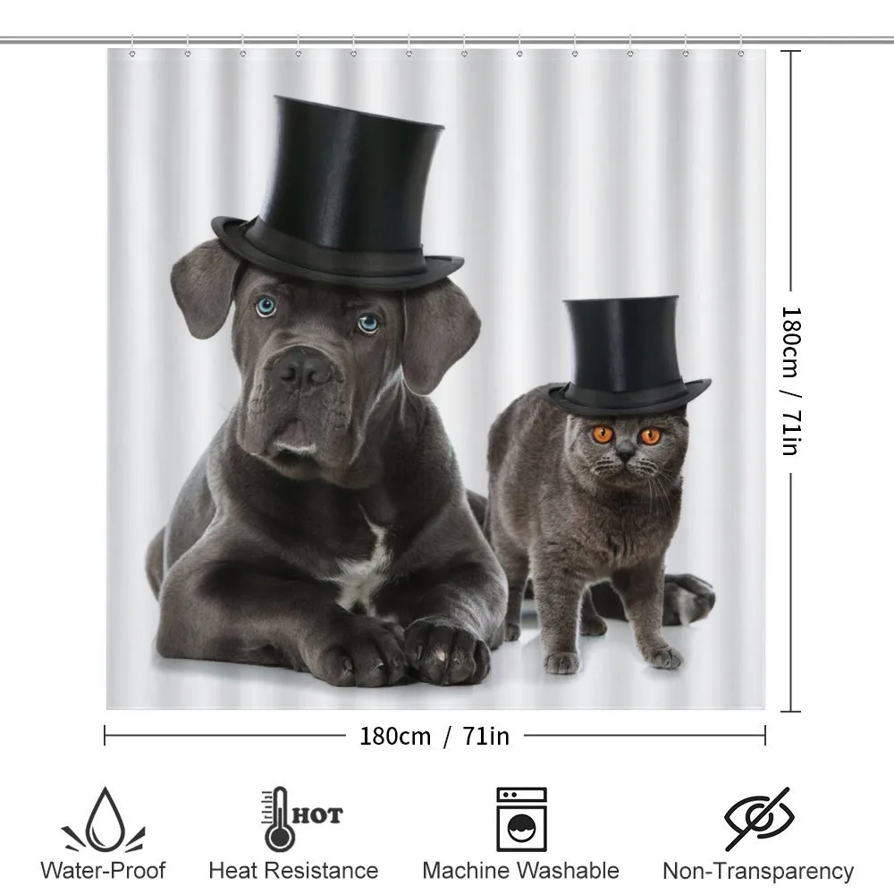 Pets in Magicians Hat — Detail 2