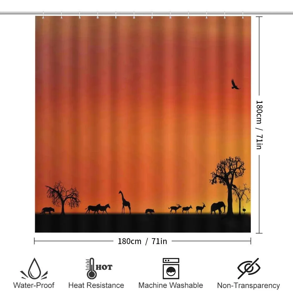 Safari Sunset with Gull — Detail 2