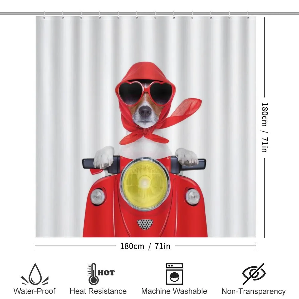 Canine with Scarf — Detail 2