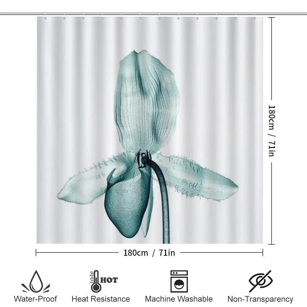 Modern Flower X-Ray — Detail 2