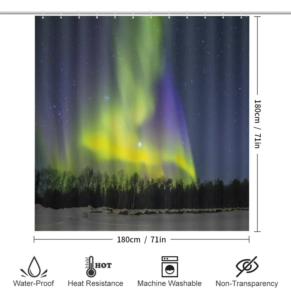 Aurora Borealis Forest — Detail 2