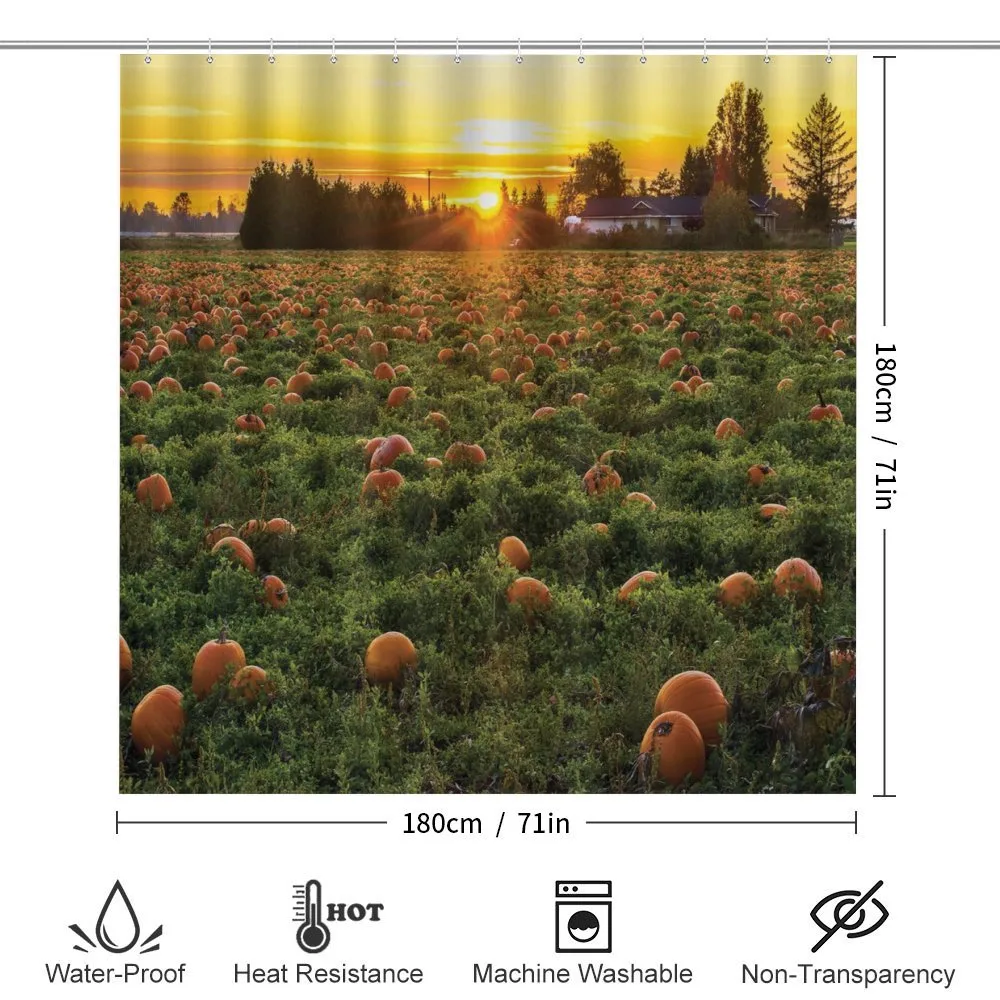 Fall Patch at Sunset — Detail 2