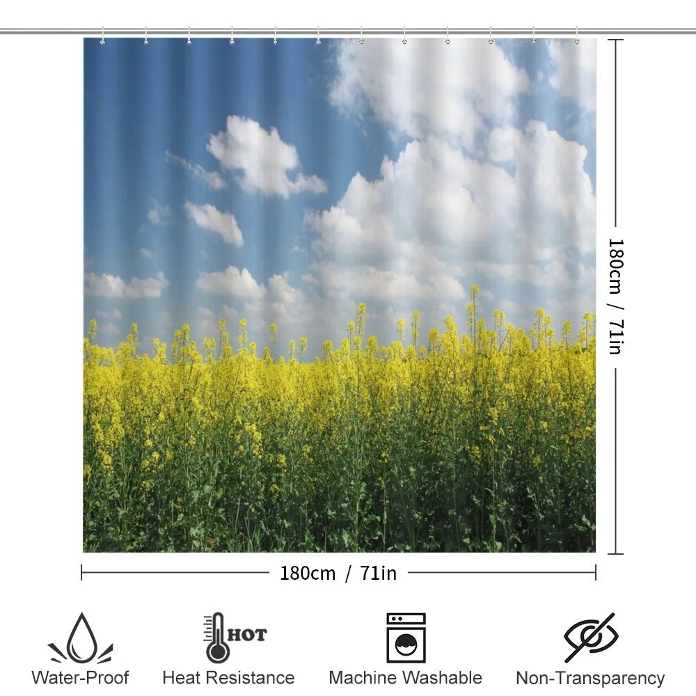 Rapeseed Field Germany — Detail 2