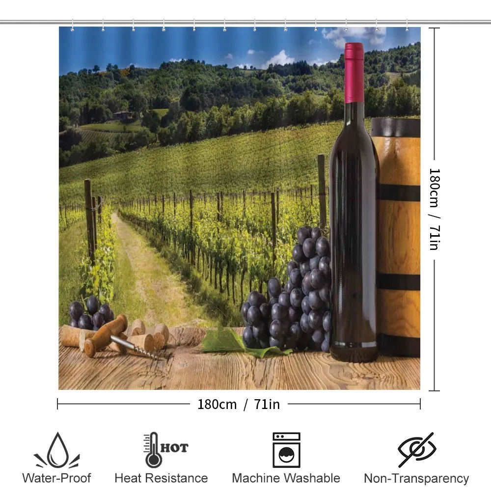 Vineyard Tuscany Grape — Detail 2