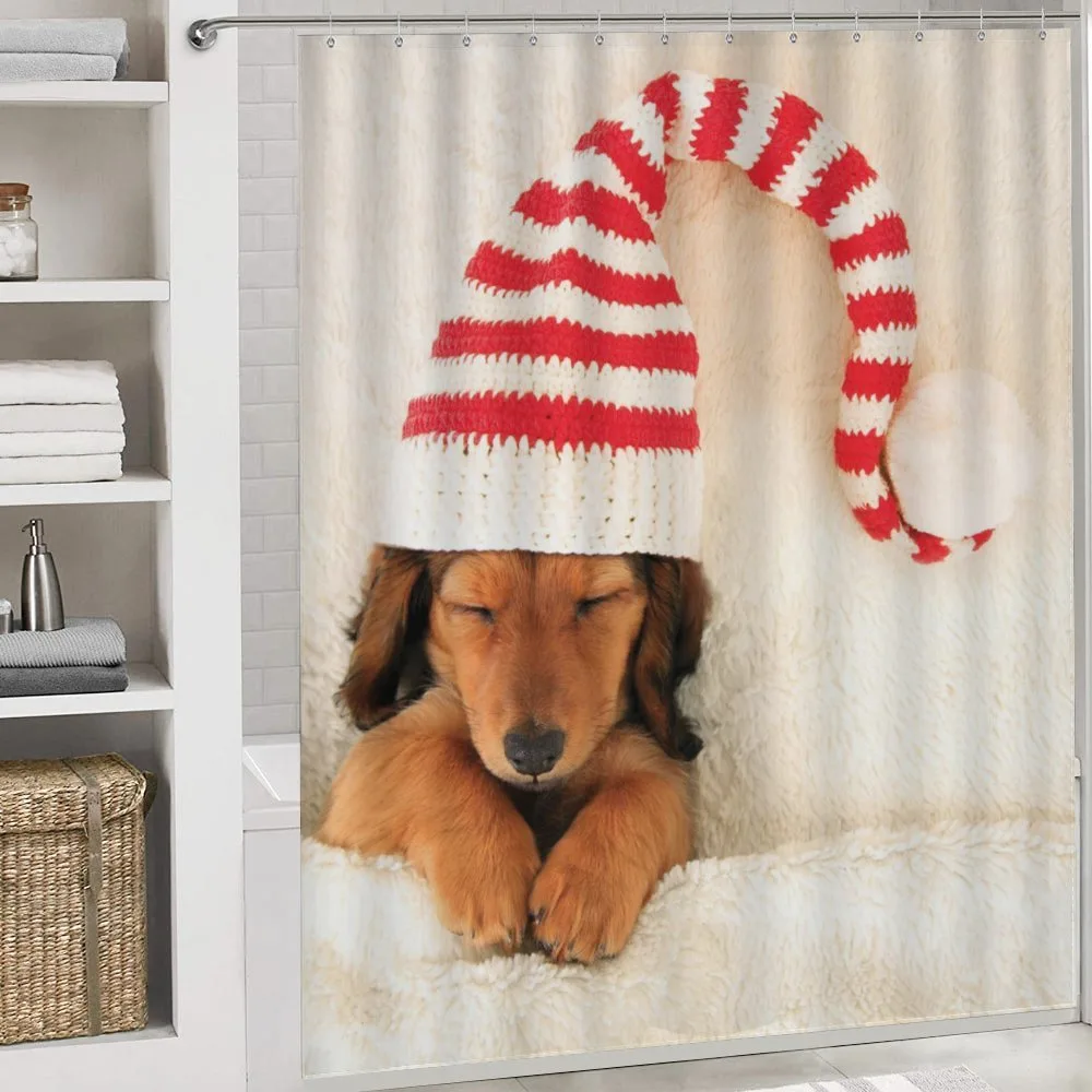 Dog in Christmas Elf Hat — Detail 4