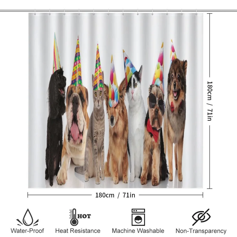 Party Animals in Hats — Detail 2
