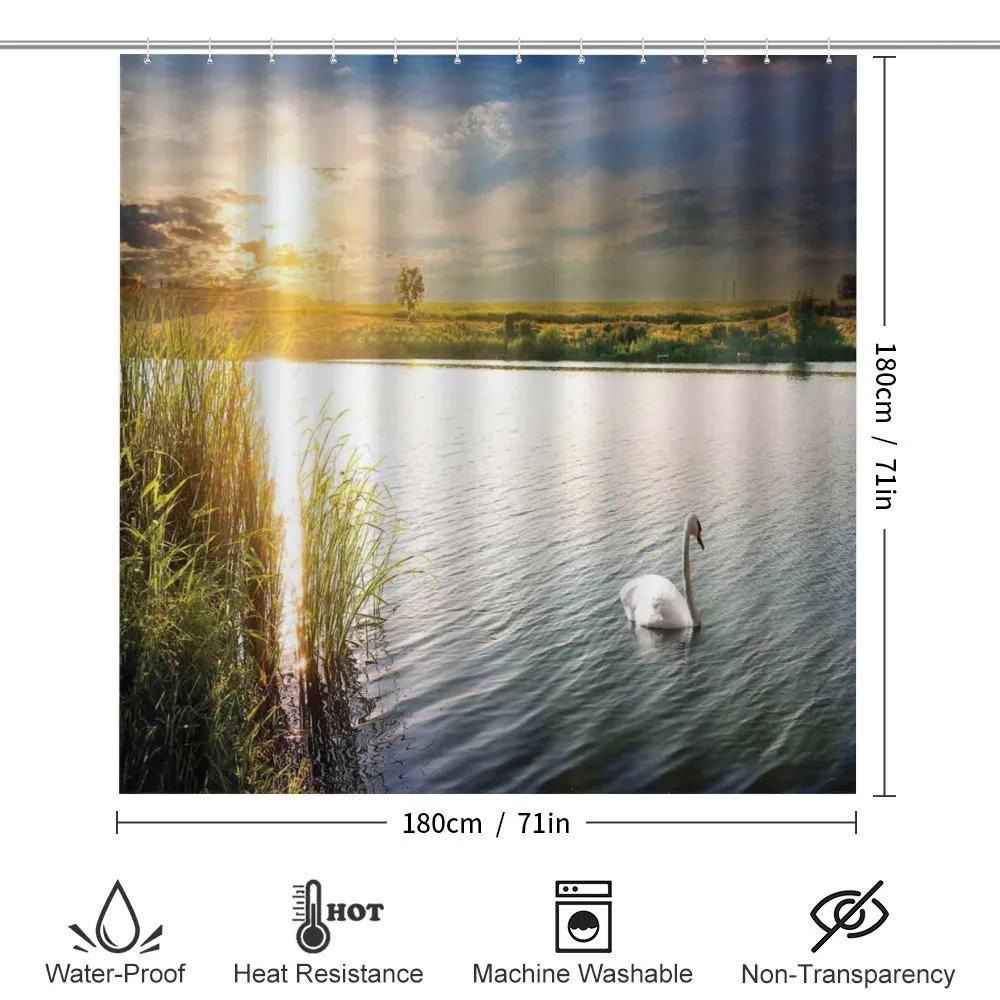 Swan in River at Dawn Photo — Detail 2