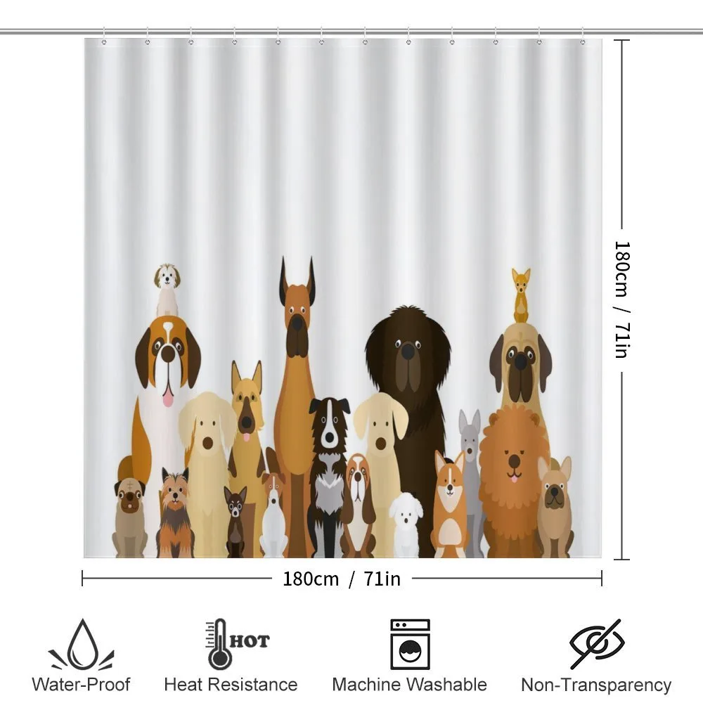 Various Breeds Funny Posing — Detail 2