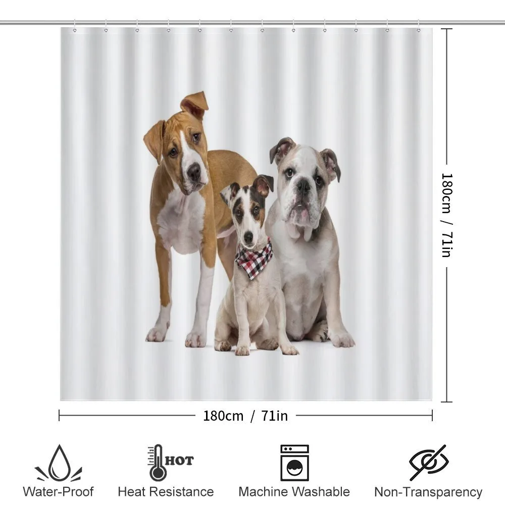 Funny Various Breeds of Dogs — Detail 2