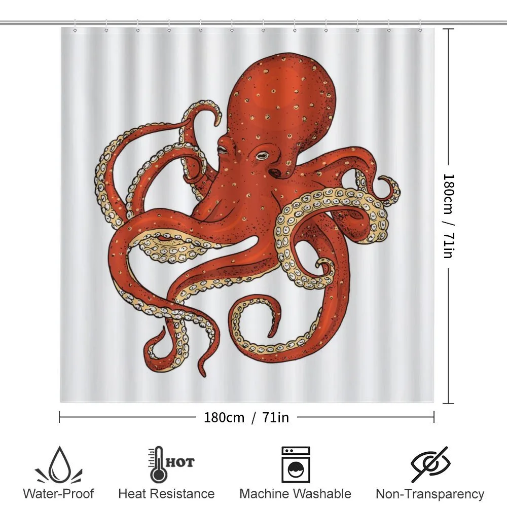 Octopus Drawing — Detail 2