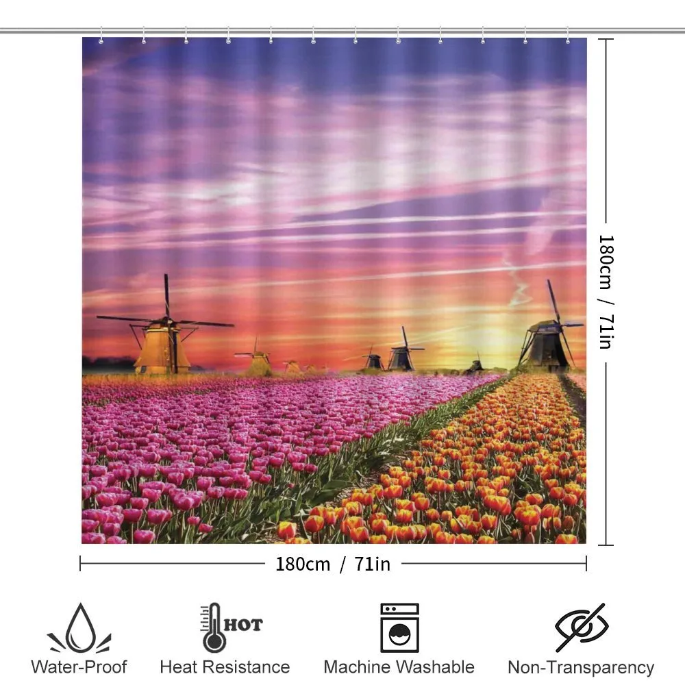Scenic Tulip Fields — Detail 2