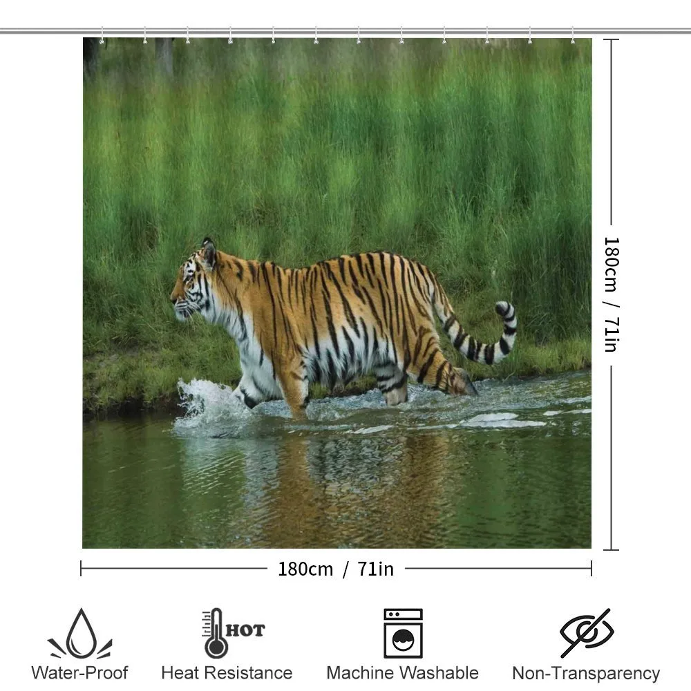 Siberian Tiger Panthera — Detail 2