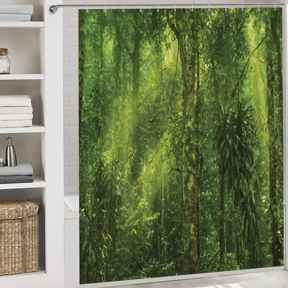 Sun Beams Tropic Forest — Detail 4