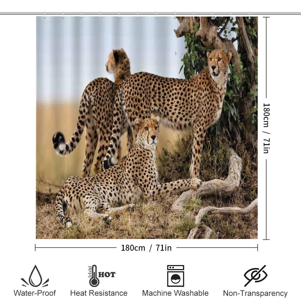 Safari Animal Cheetahs — Detail 2