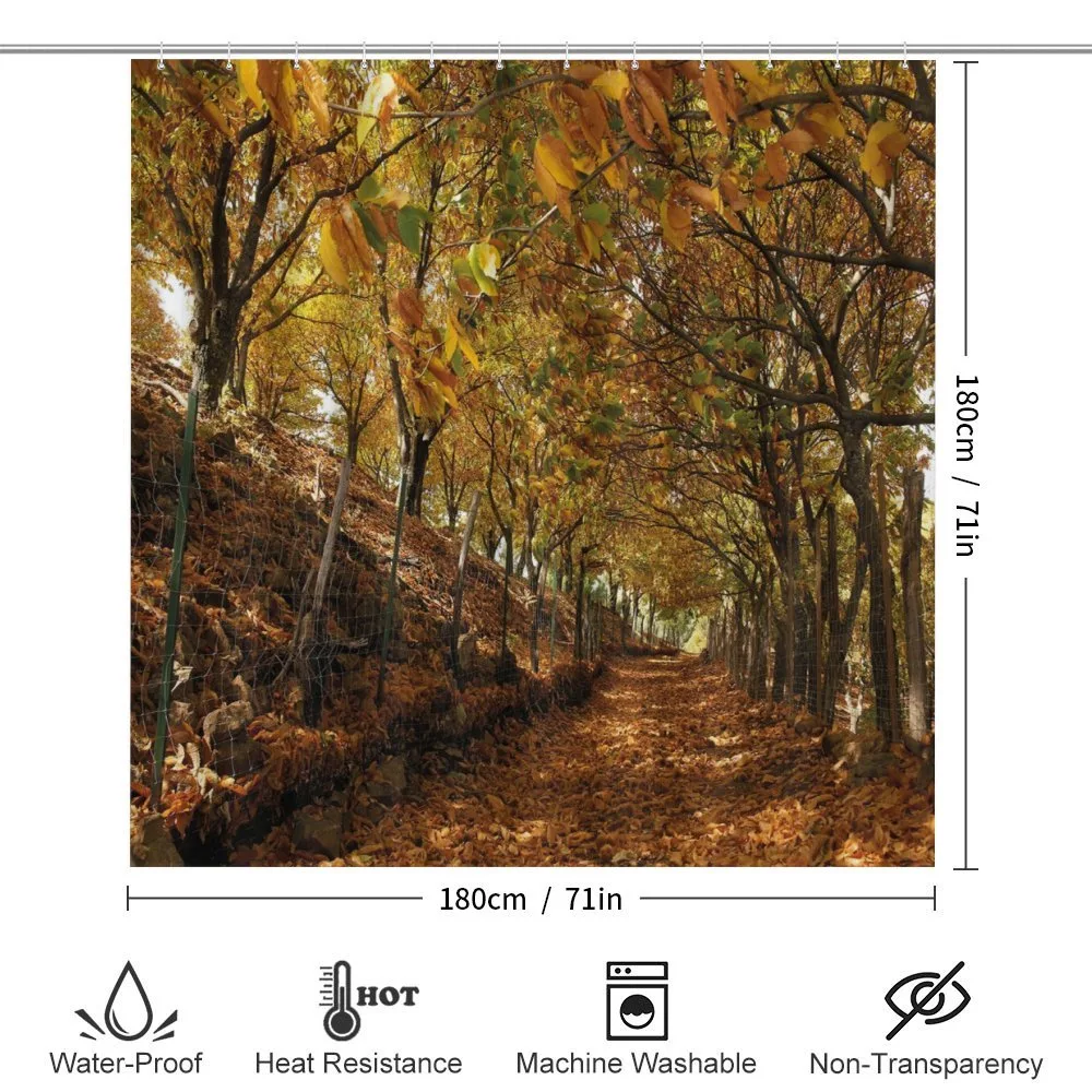 Autumn Foliage Forest — Detail 2