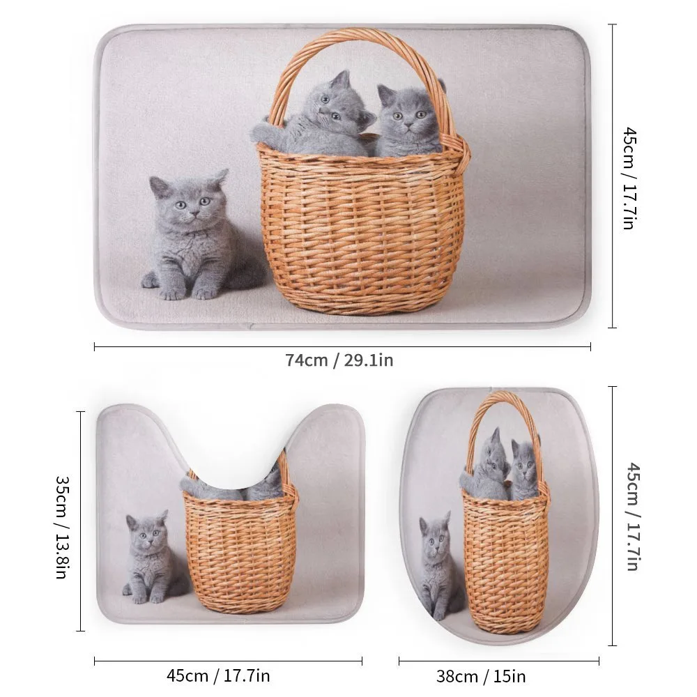 British Cats in Basket — Detail 1