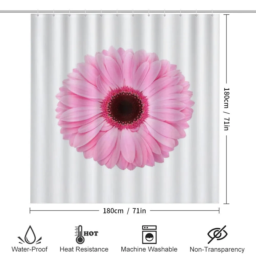 Gerber Daisy — Detail 2