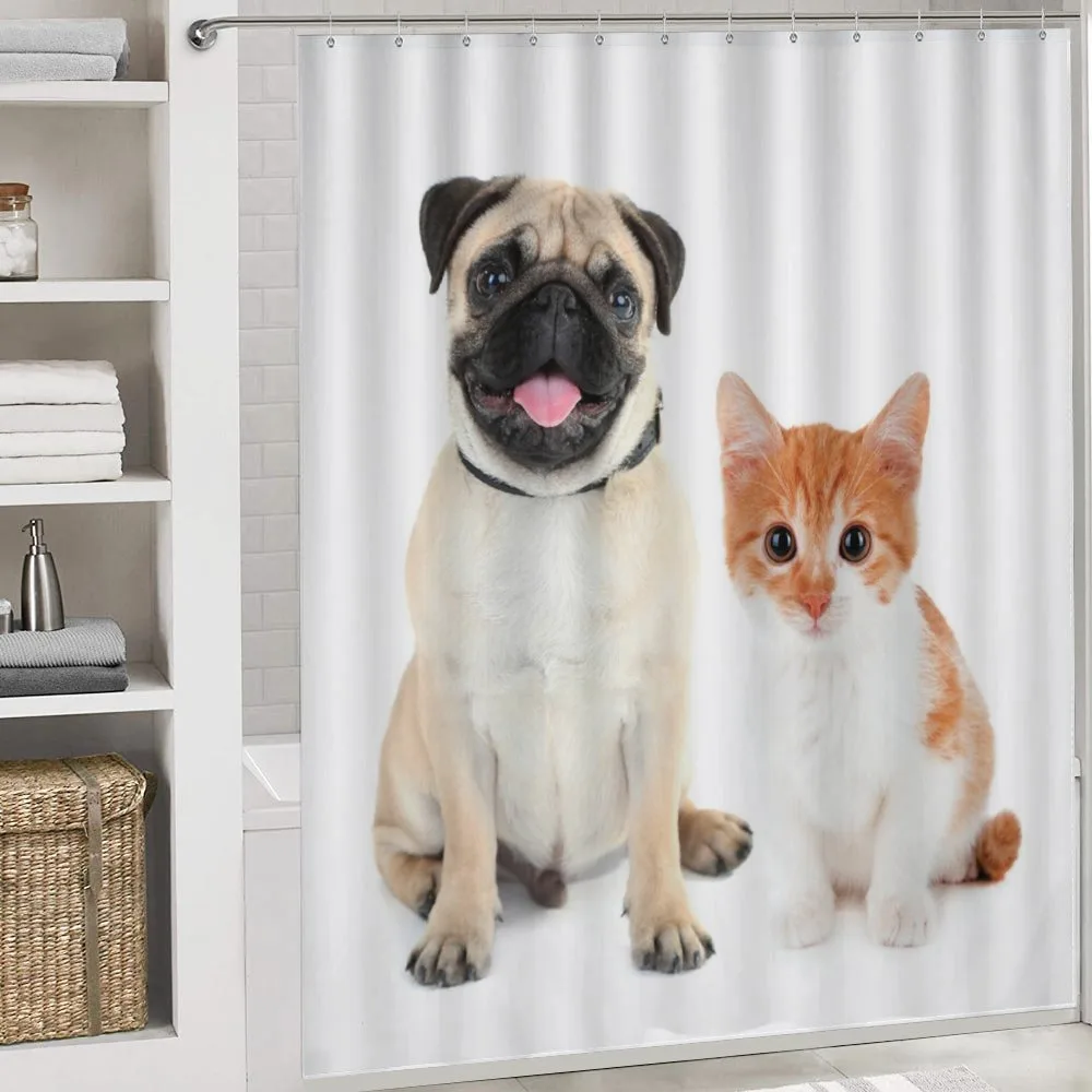 Kitten and Puppy Photo — Detail 4