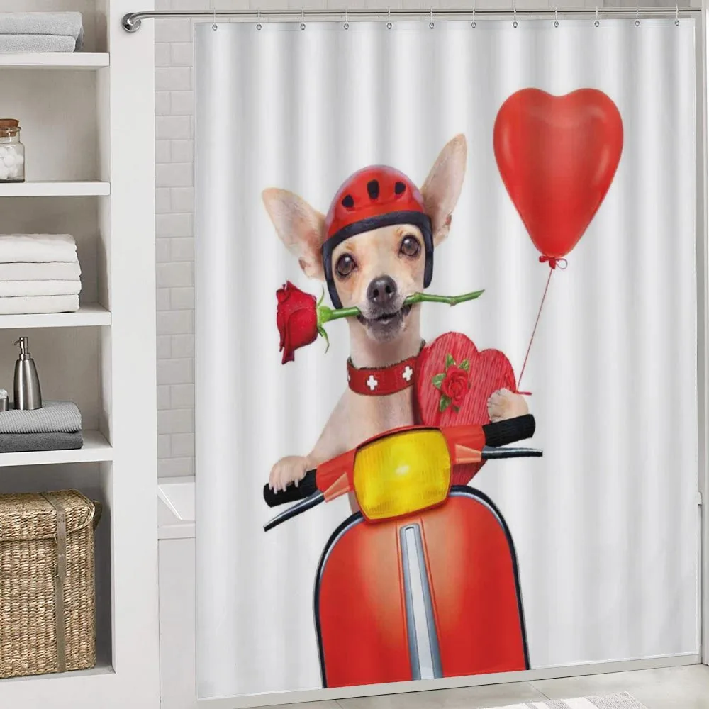Romantic Chihuahua — Detail 4