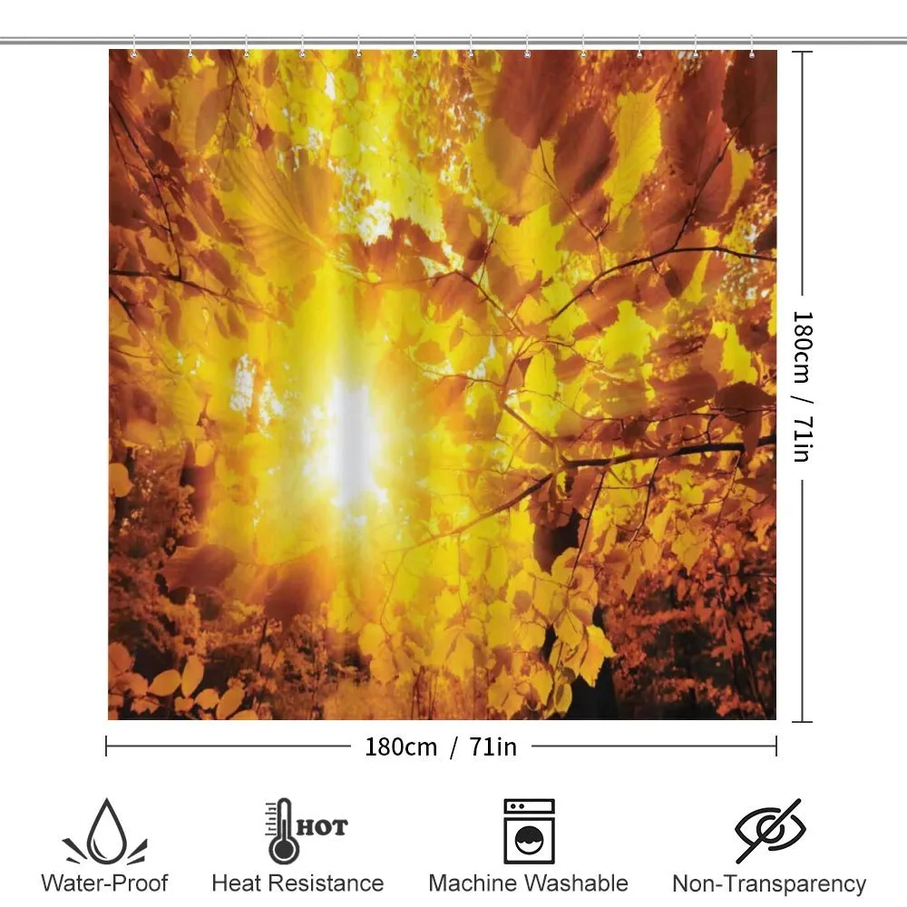Sunbeams Leaves Trees — Detail 2