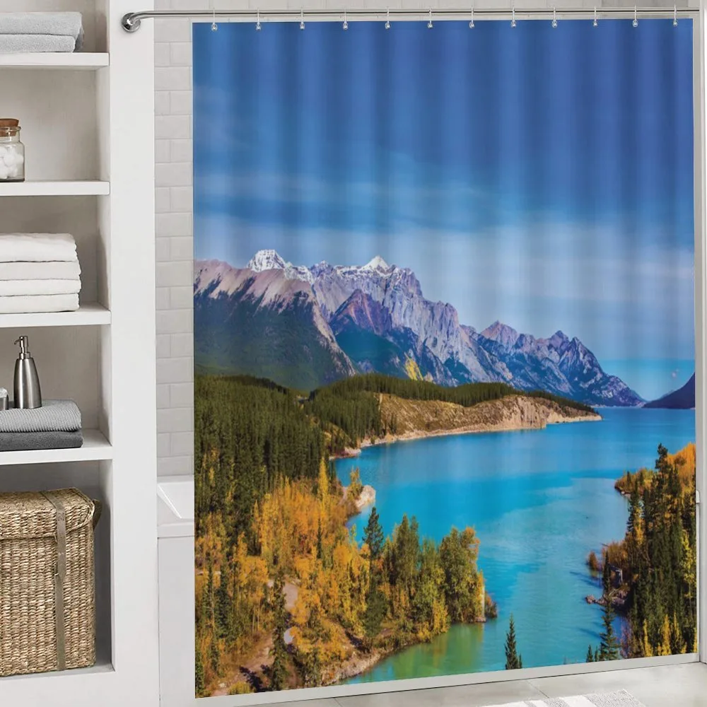 Abraham Lake Shore Photo — Detail 4