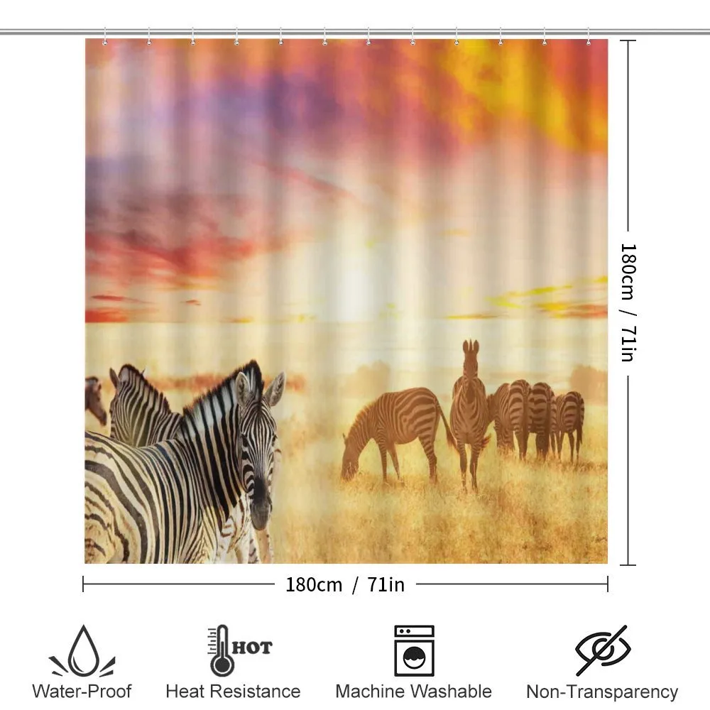 South Wild Zebra — Detail 2