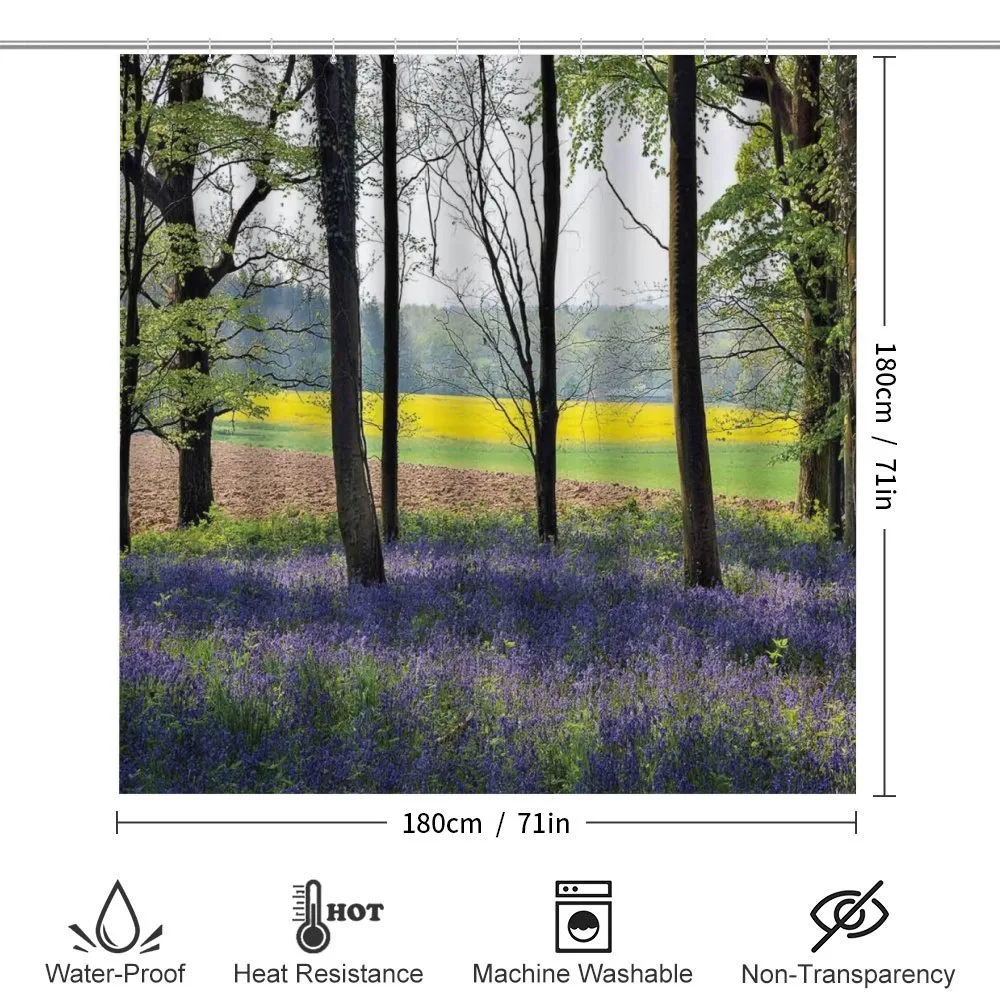 Bluebells Forest Rural — Detail 2
