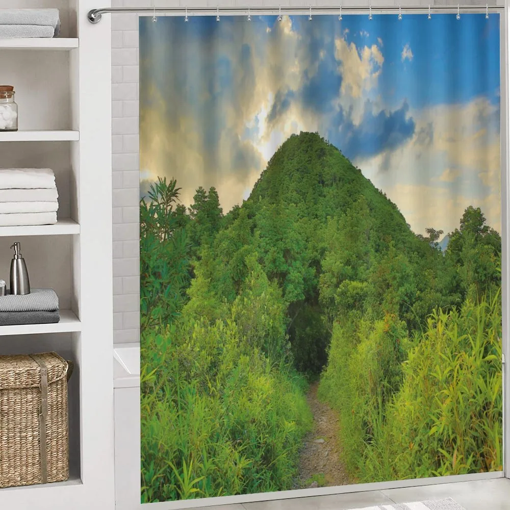 Mountain Path with Trees — Detail 4