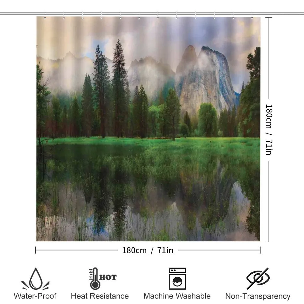 Yosemite Tree — Detail 2