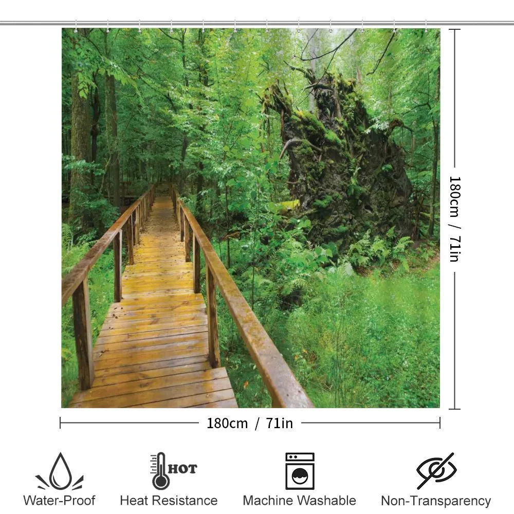 Path Rainforest Hiking — Detail 2
