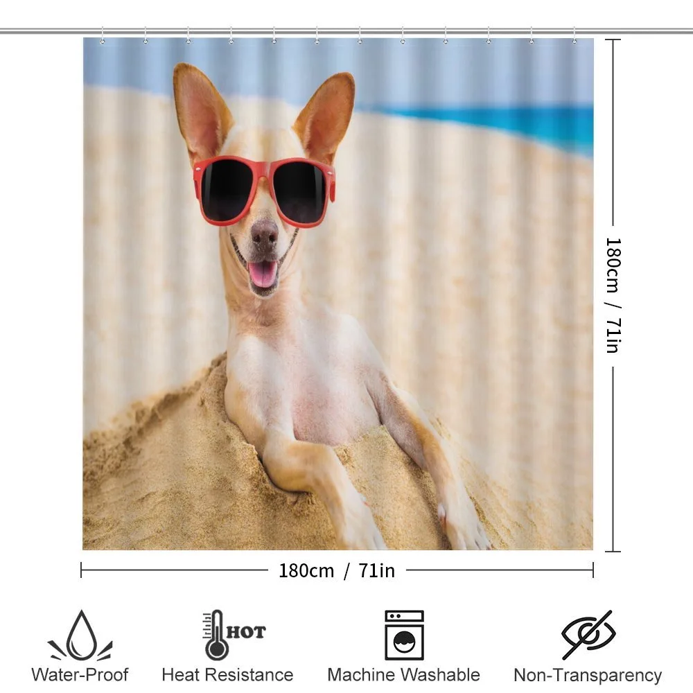 Cool Dog at Sandy Beach — Detail 2