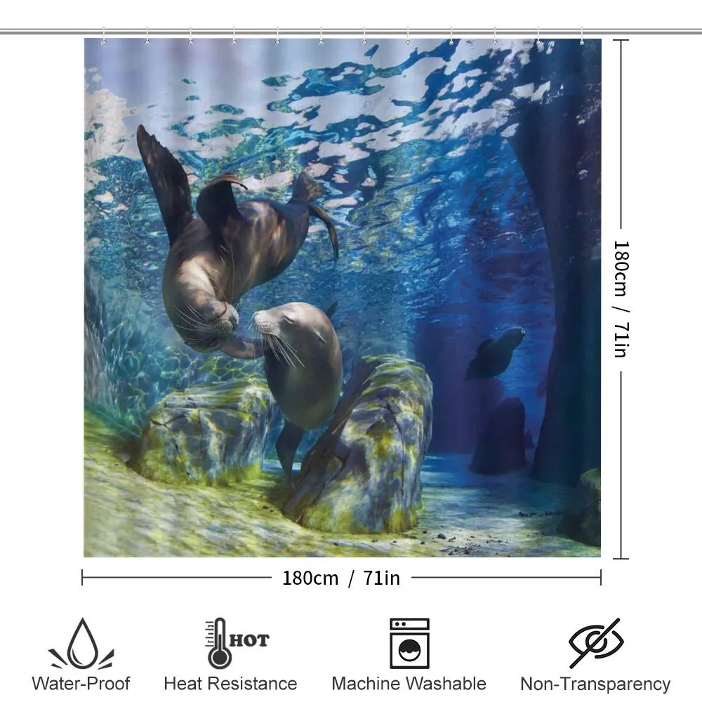 Playful Sea Lions — Detail 2