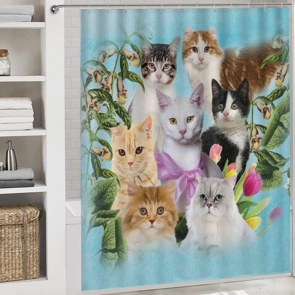 Cats Feline Domestic — Detail 4
