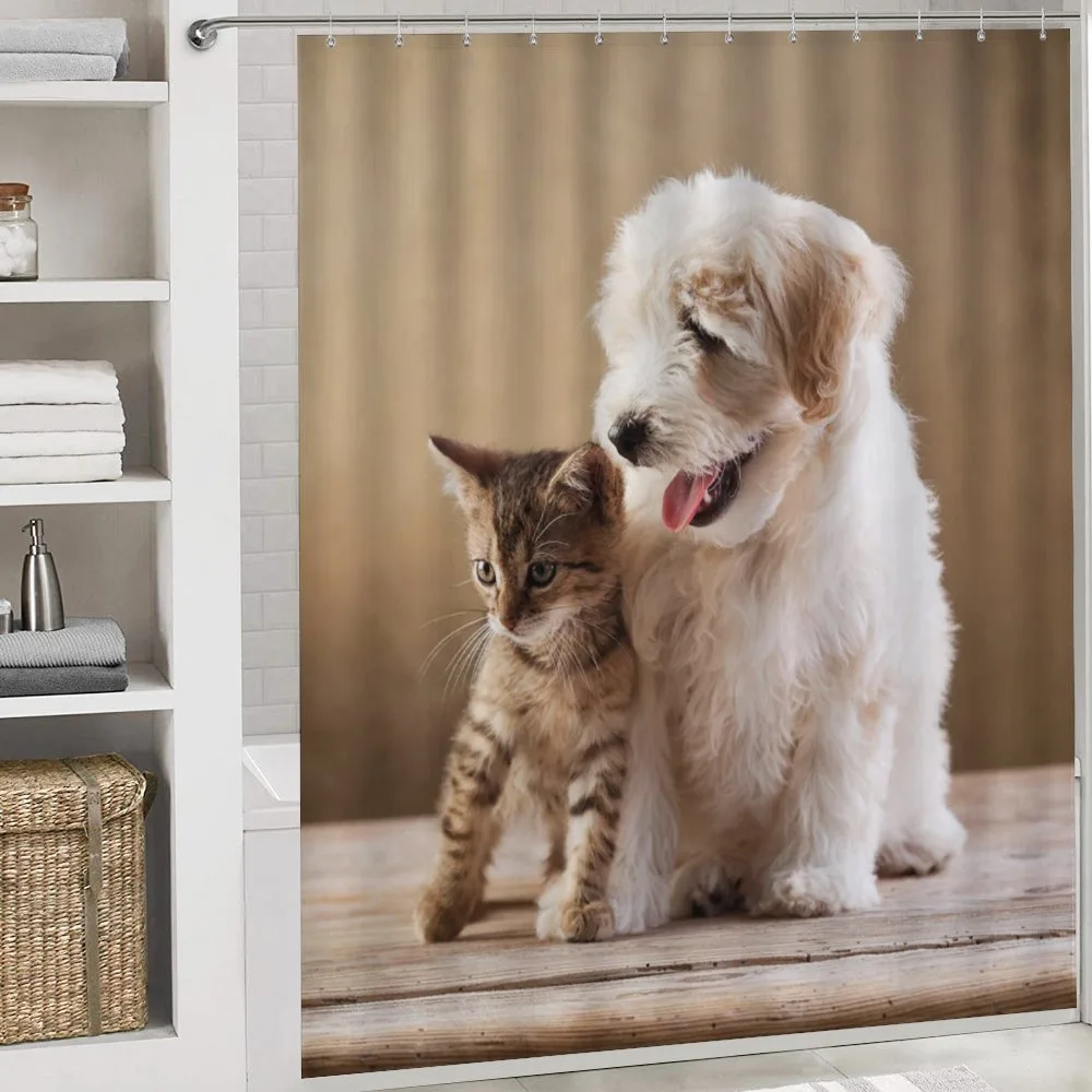 Kitten and Dog Friends — Detail 4