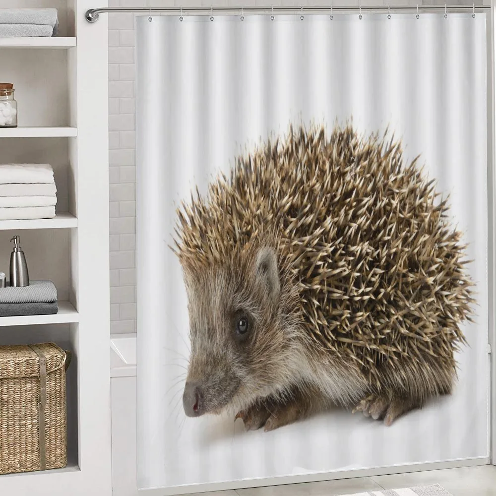 Small Mammal — Detail 4