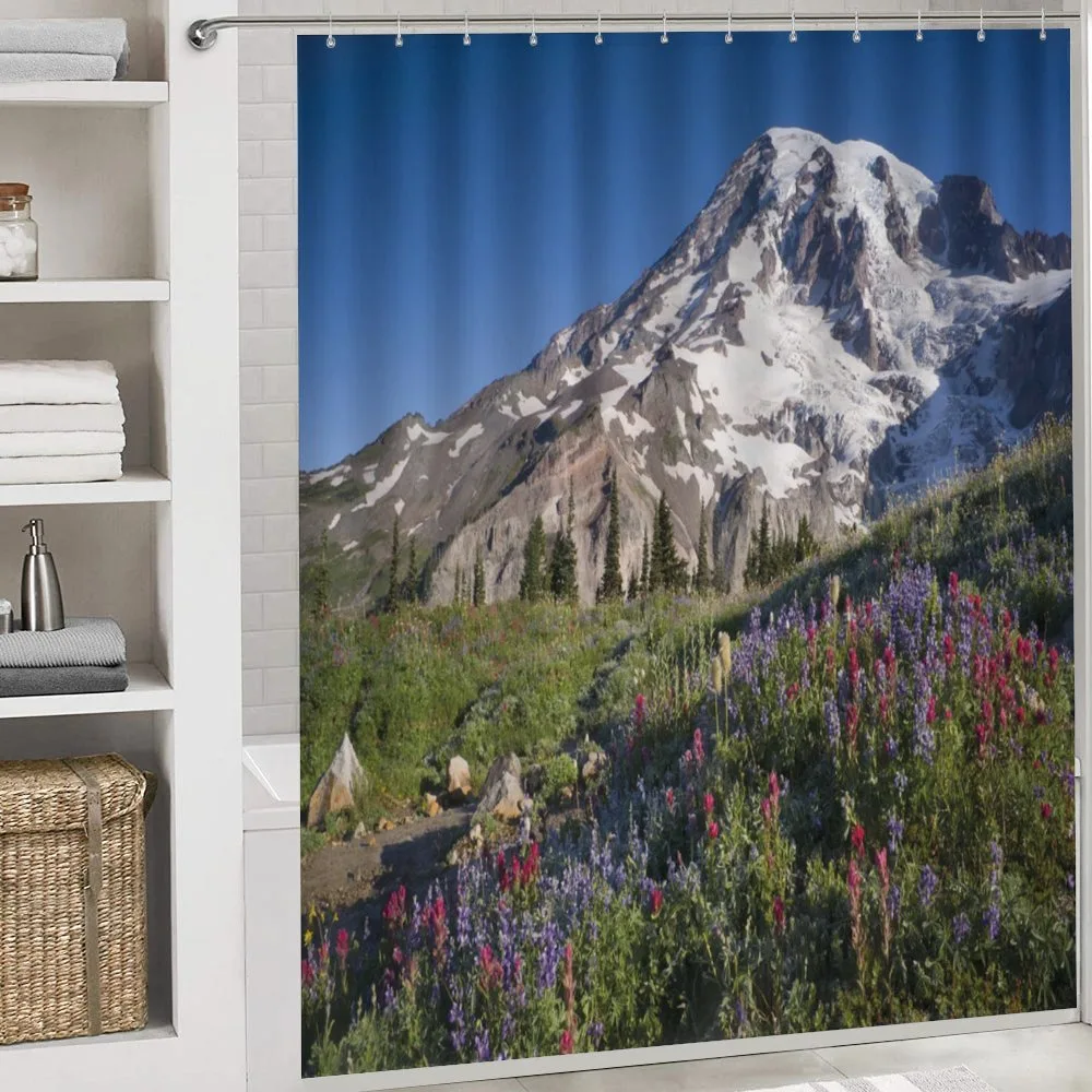 Spring Mt. Rainier Photo — Detail 4
