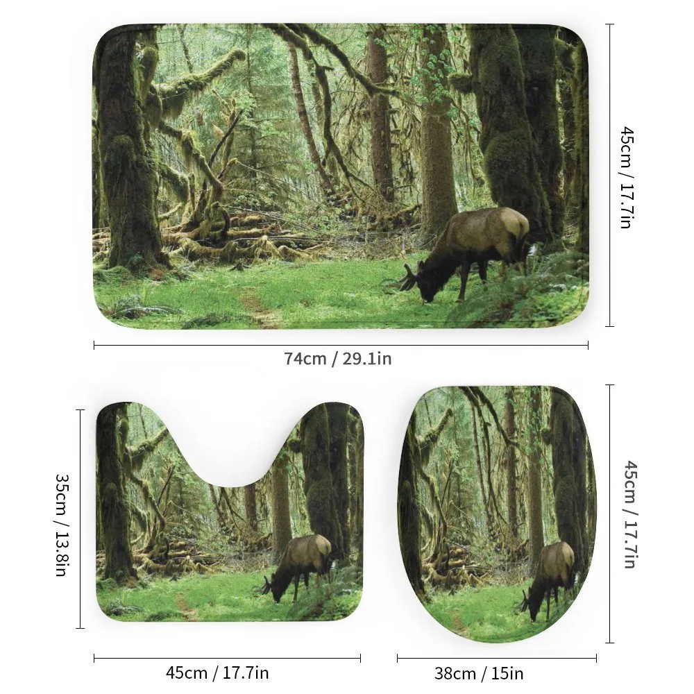 Roosevelt Elk in Park — Detail 1