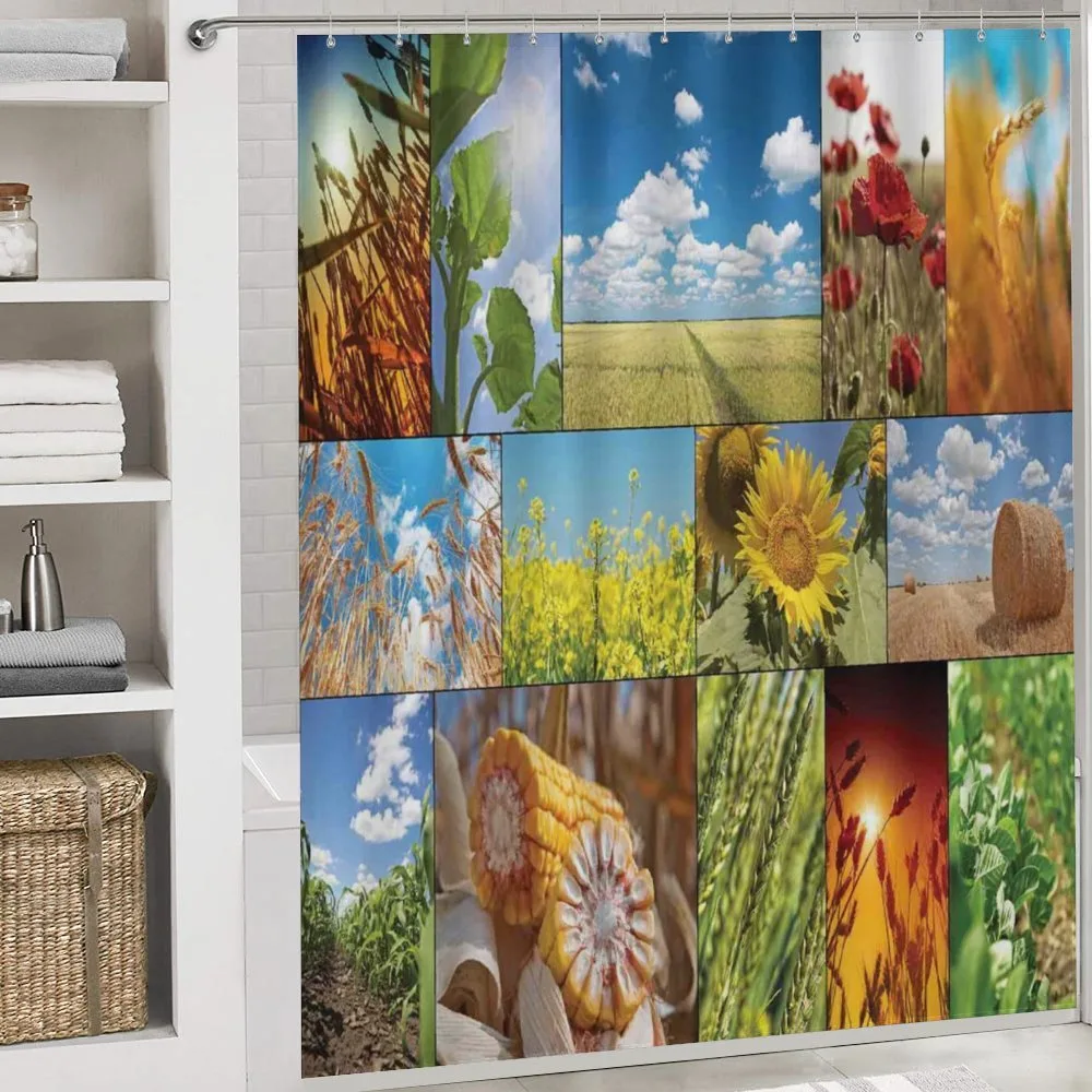 Sunflower Corn Wheat — Detail 4