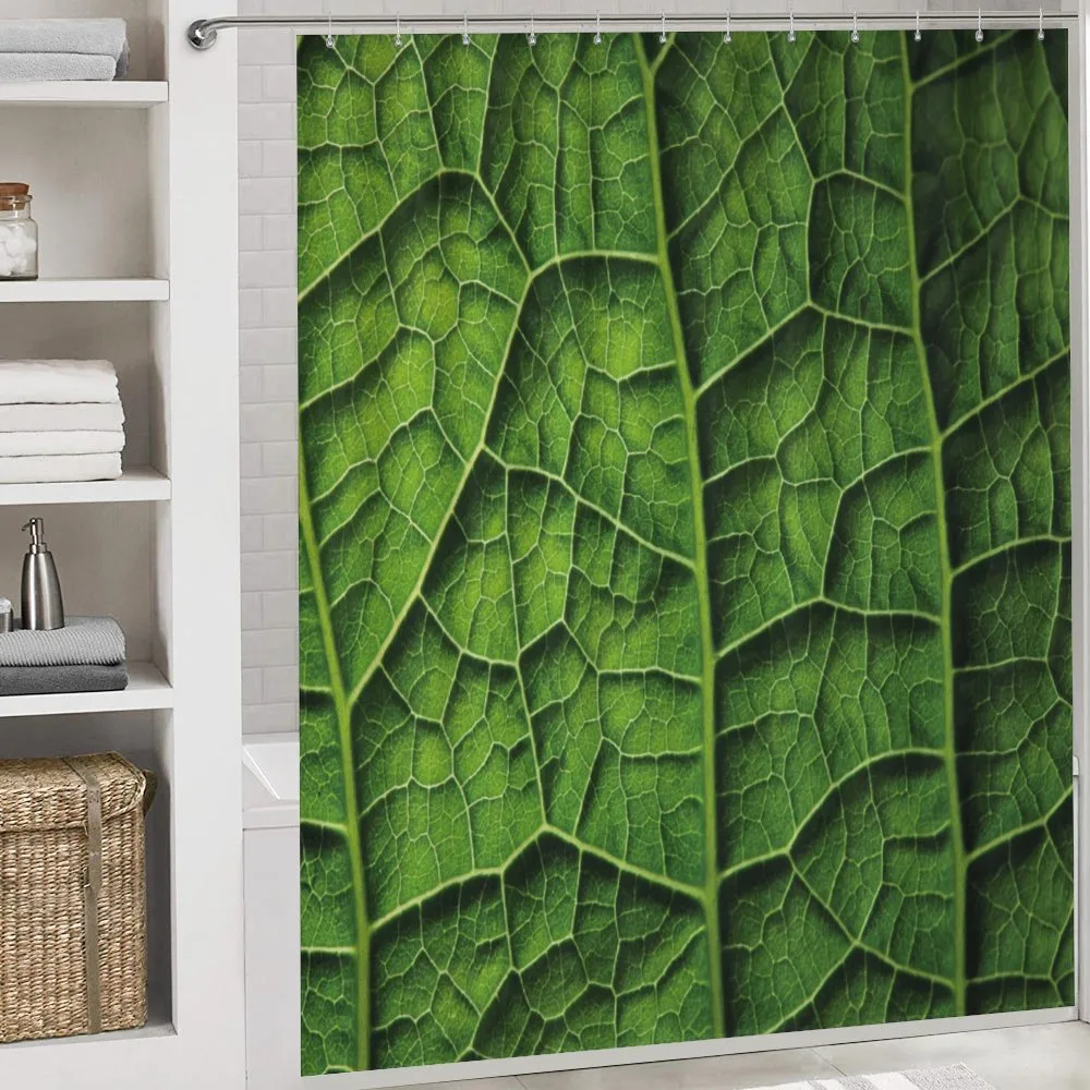 Forest Tree Leaf Texture — Detail 4