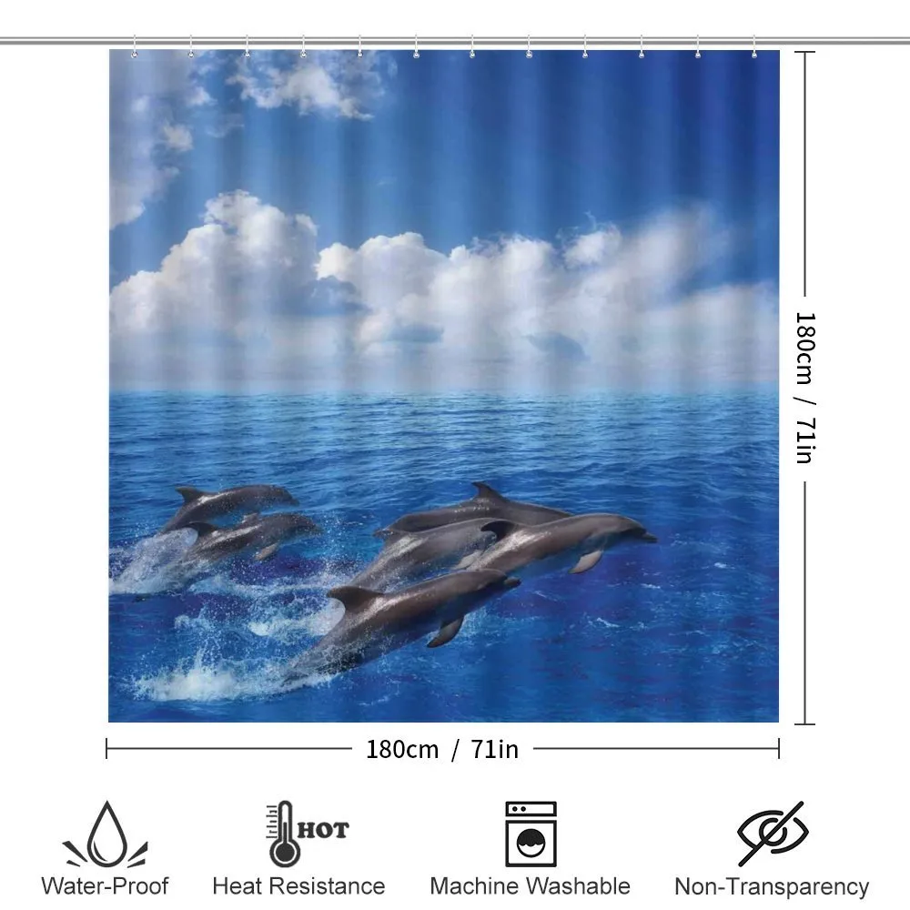 Jumping Dolphins in Sky — Detail 2