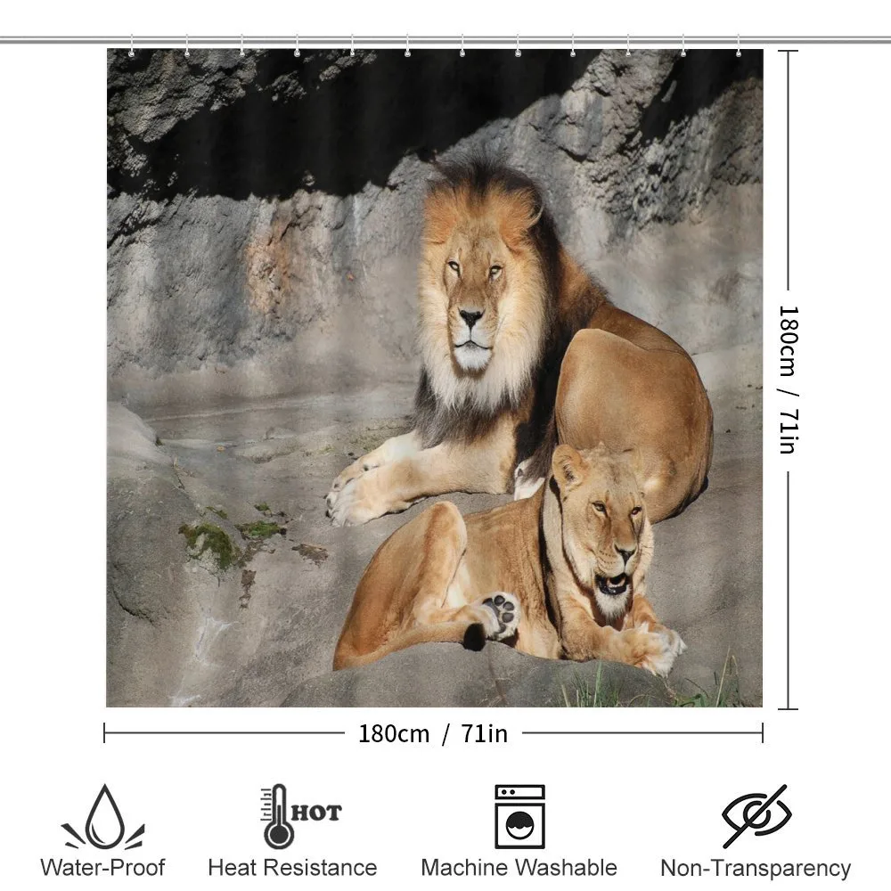Lions Basking in Sun Jungle — Detail 2